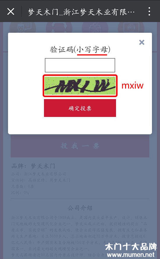 2017中国木门十大品牌网络评选验证码答疑